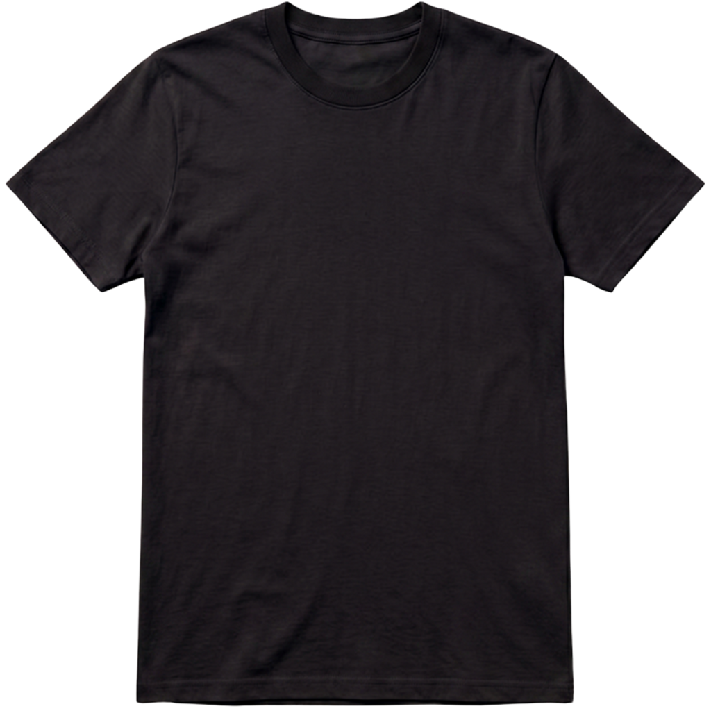 Camiseta Premium Lisa Ansky Black