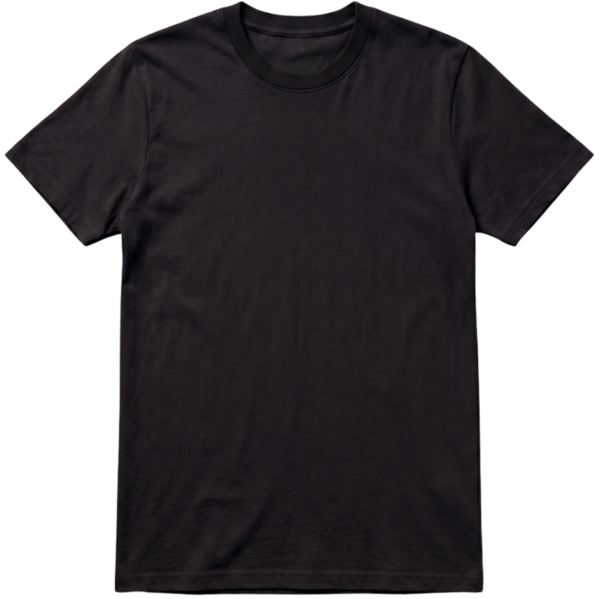Camiseta Premium Lisa Ansky Black